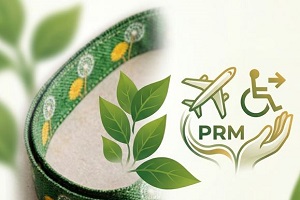 Hidden Disability Sunflower